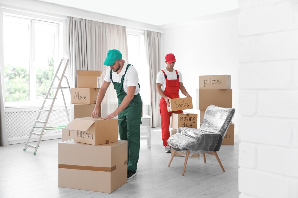 professional movers